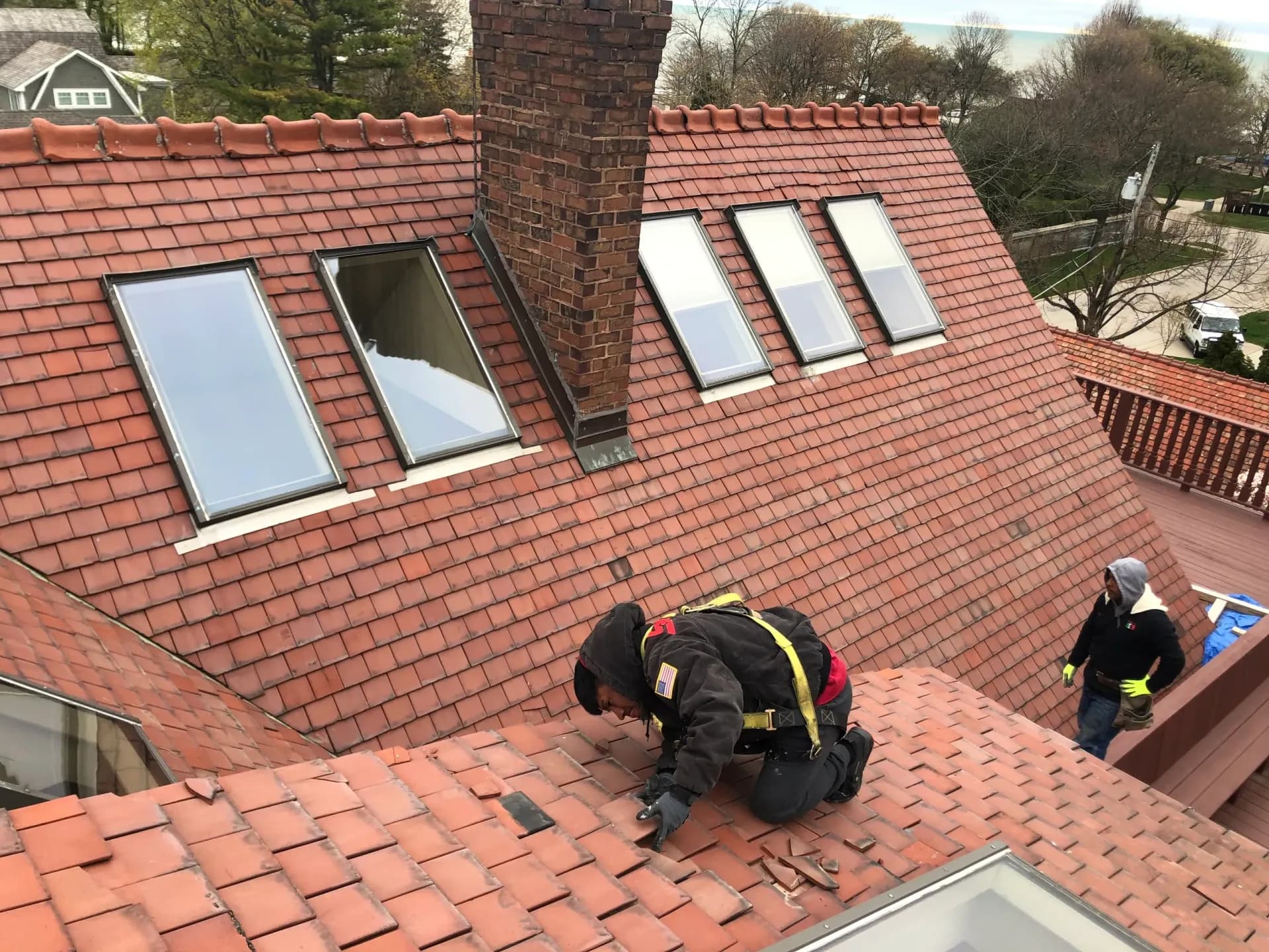 Roof with skylights